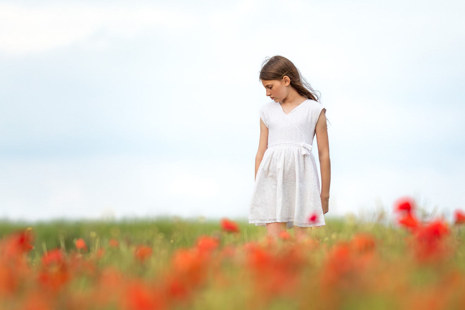 Séance photo d'enfant dans un champ de coquelicots dans le Pas-de-Calais