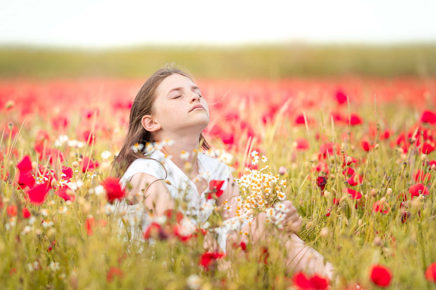Portrait naturel d’une petite fille assise dans un champ de fleurs rouges