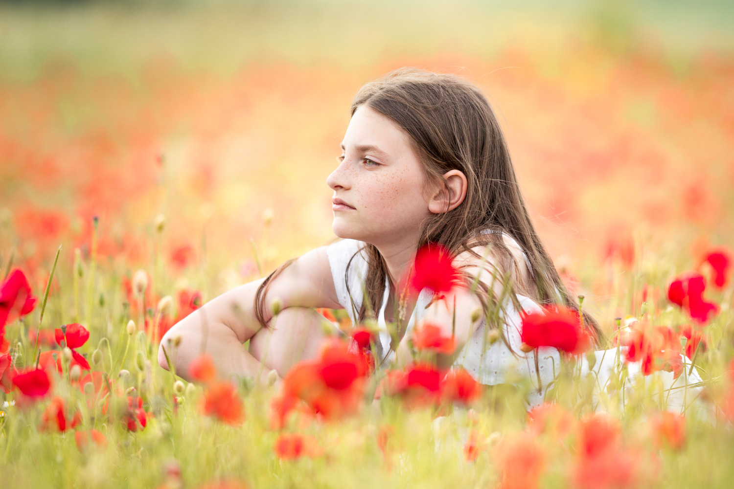 Portrait naturel d’une petite fille assise dans un champ de fleurs rouges