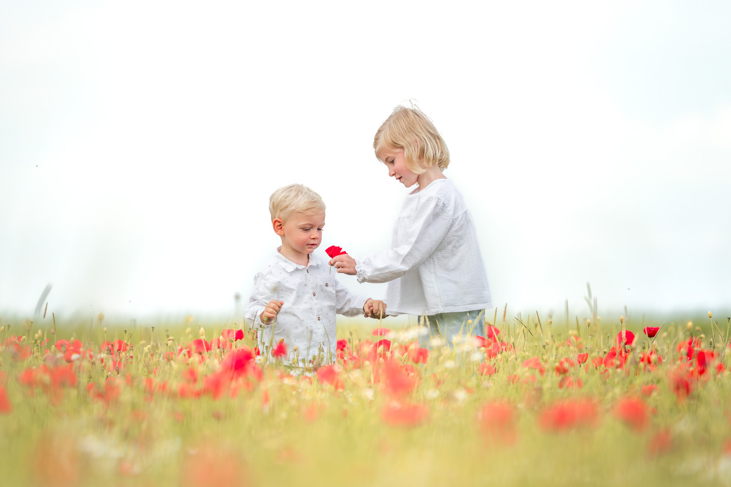 Séance photo avec des enfants dans un décor naturel et coloré au printemps