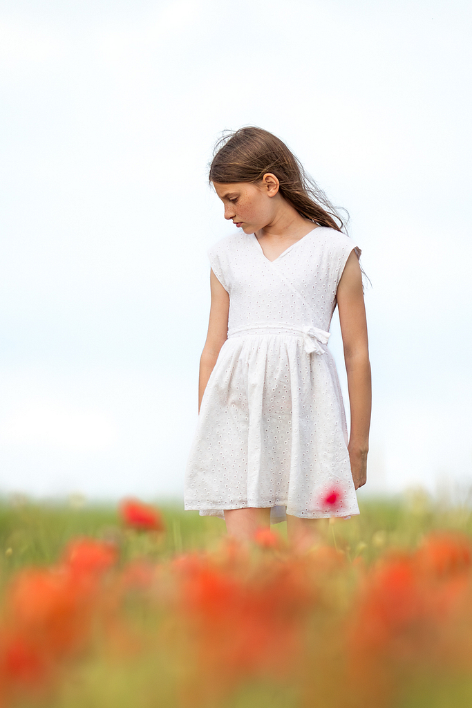 Séance photo d'enfant dans un champ de coquelicots dans le Pas-de-Calais
