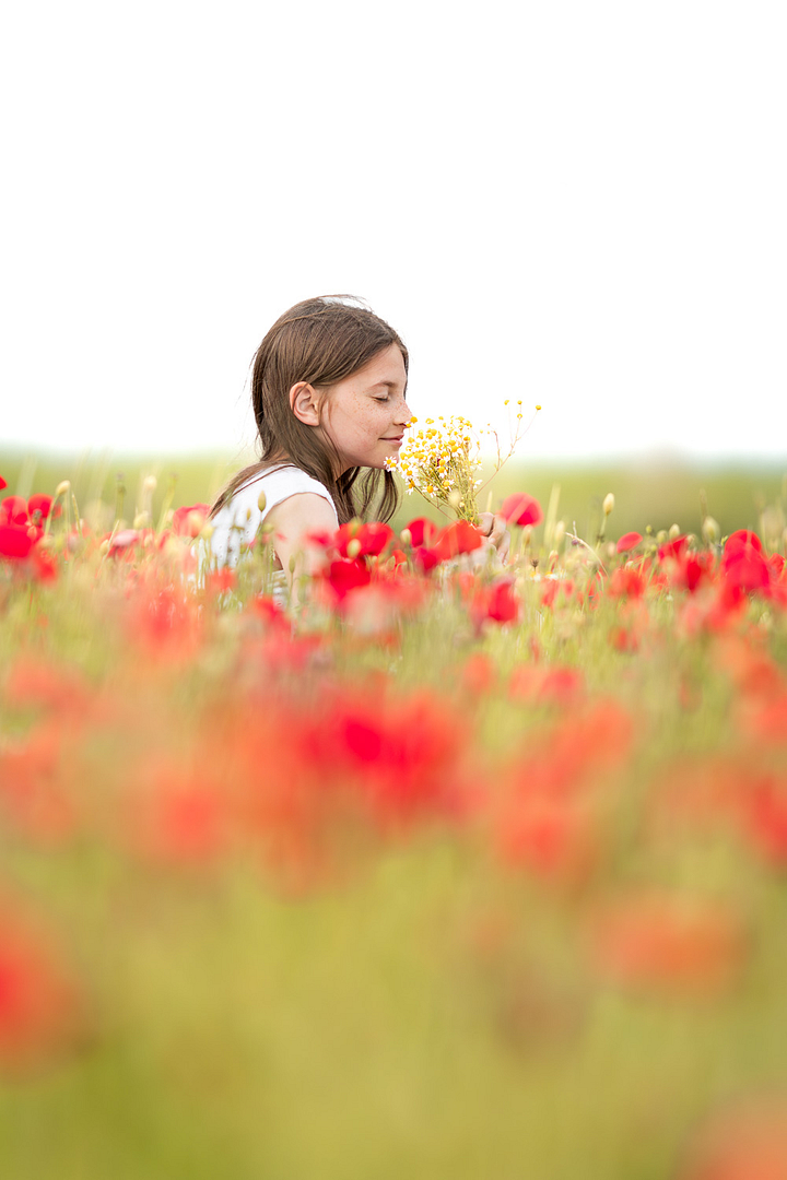 Portrait naturel d’une petite fille assise dans un champ de fleurs rouges