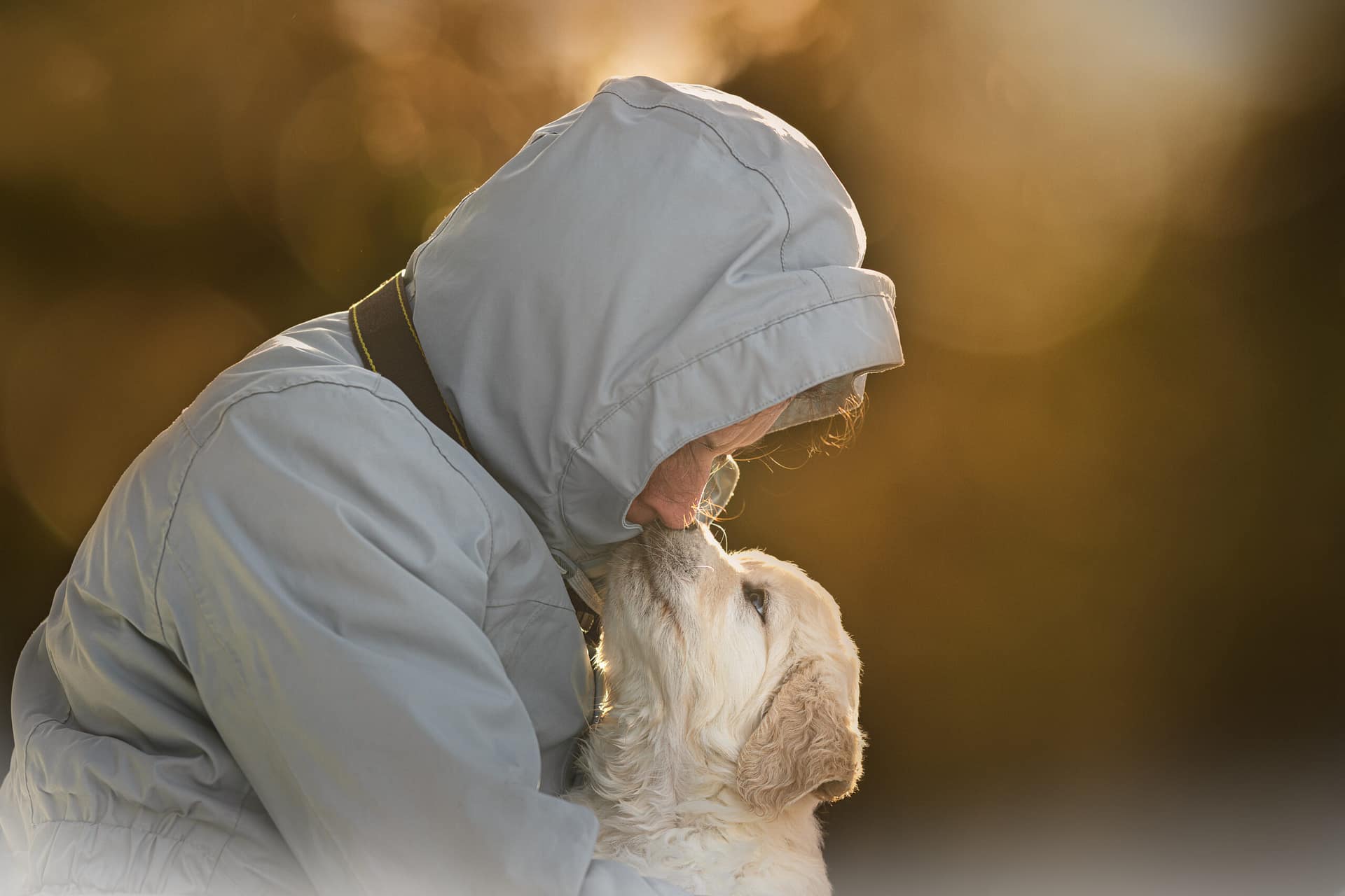 éleveur de golden retriever embrassant un chiot